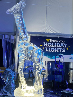 Ice Sculpture Desert